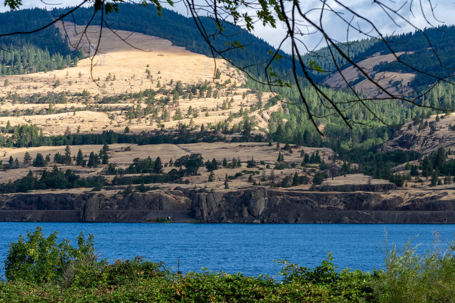 The Columbia River seen through overhanging branches, basalt cliffs and a dry hillside beyond.