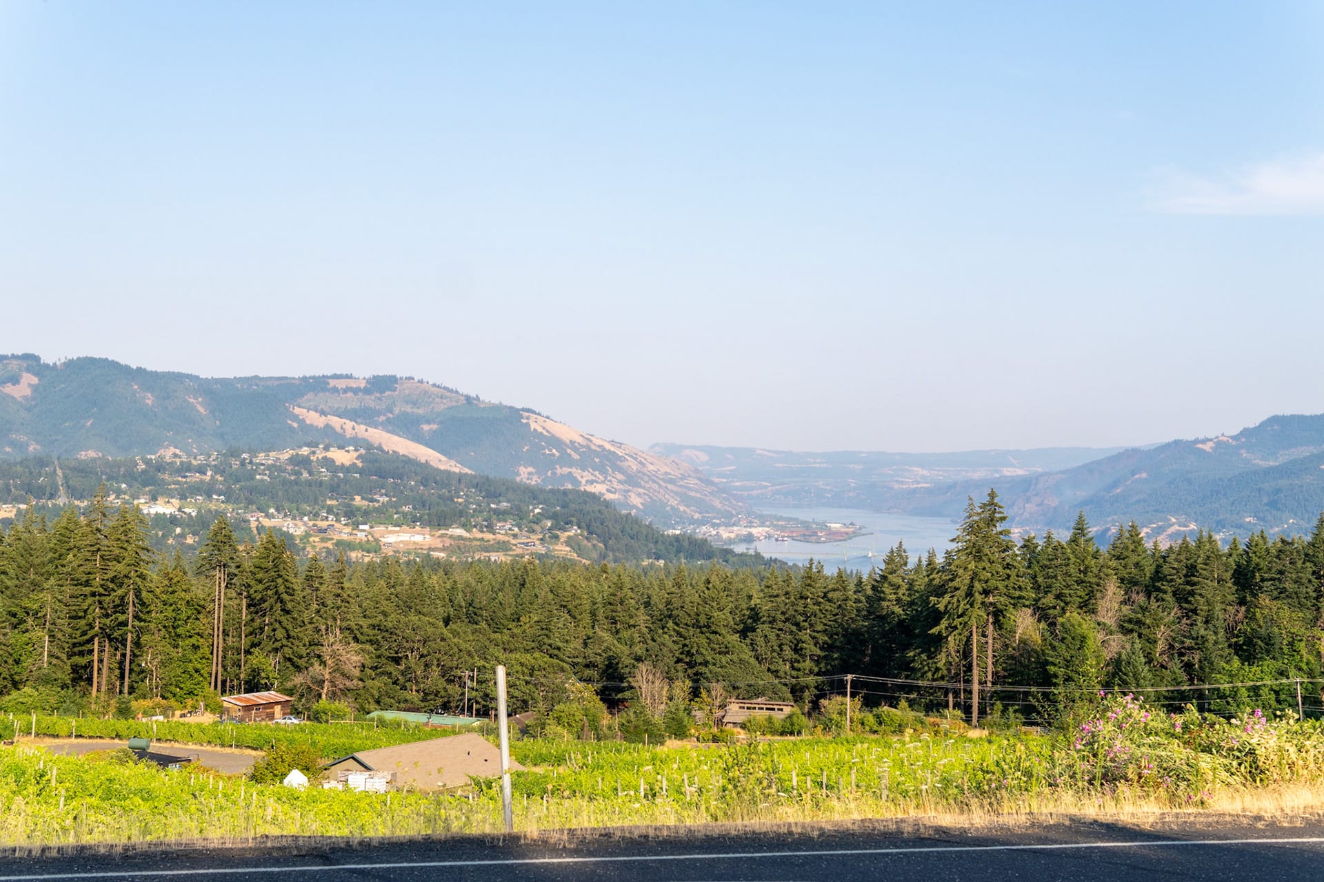 A hazy view down the river valley with a green field in the foreground.