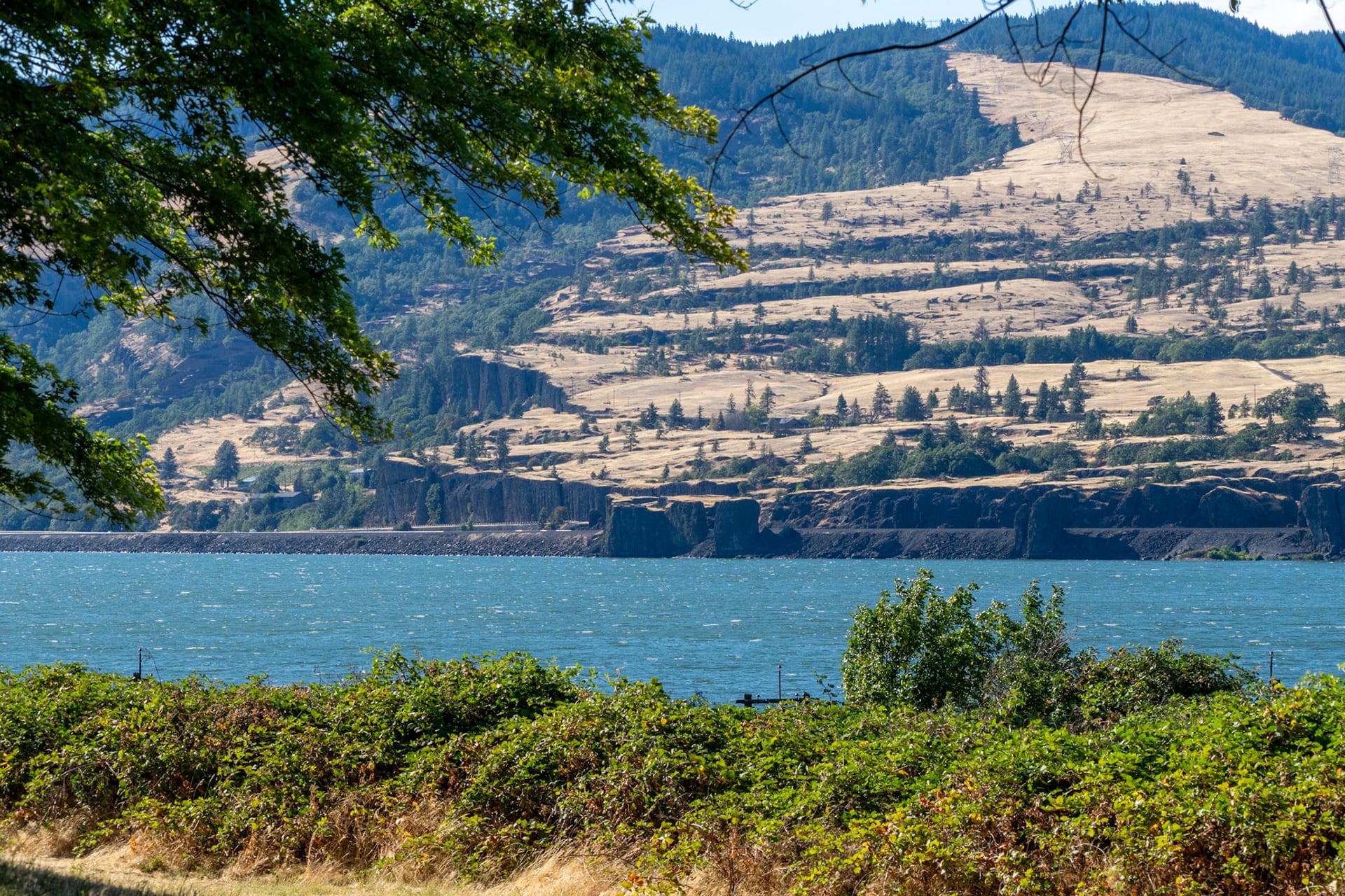 The gorge from a grassy bluff, the river and the far hills beyond.