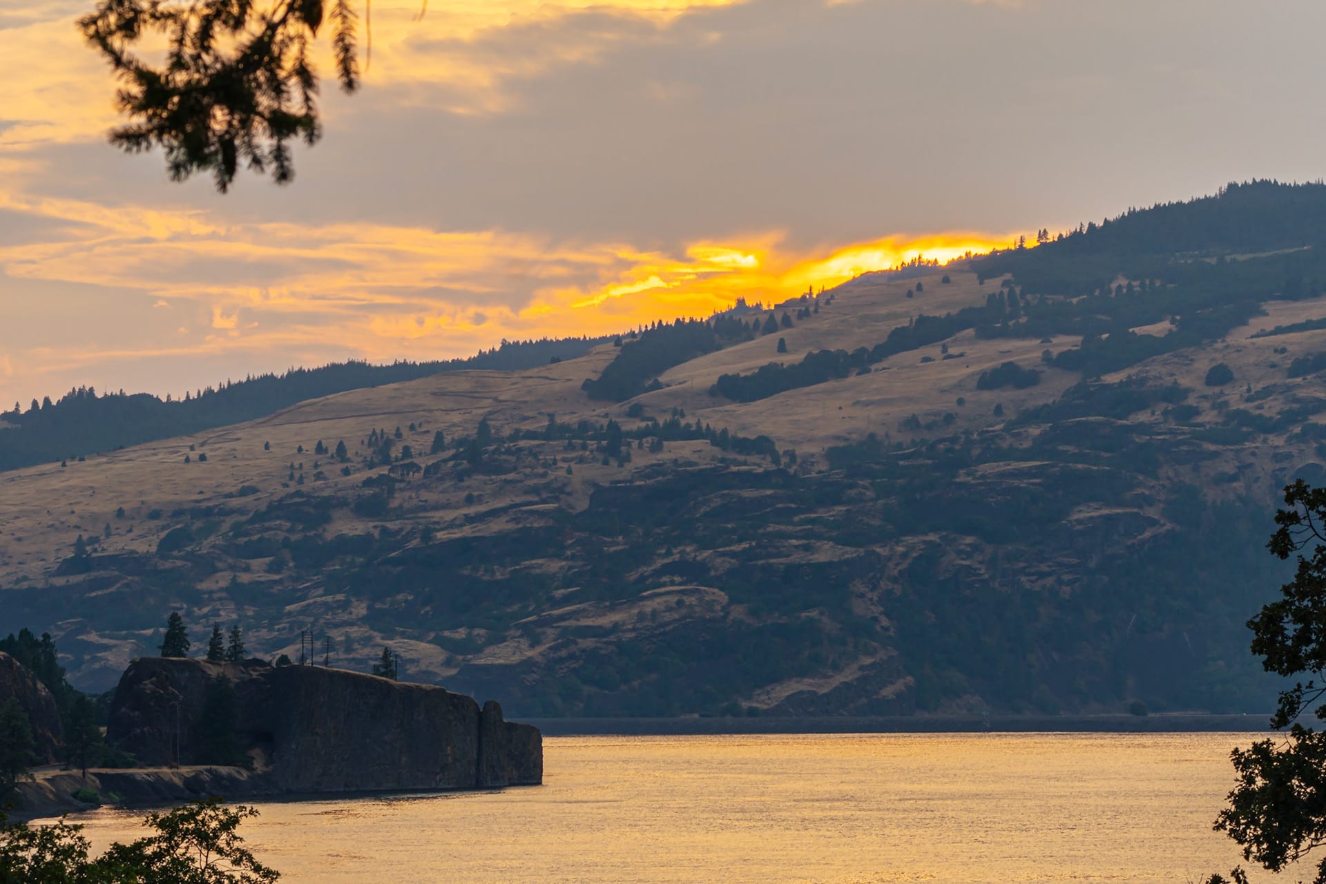 Golden light across the hills above the river, a tree in silhouette at the edge.