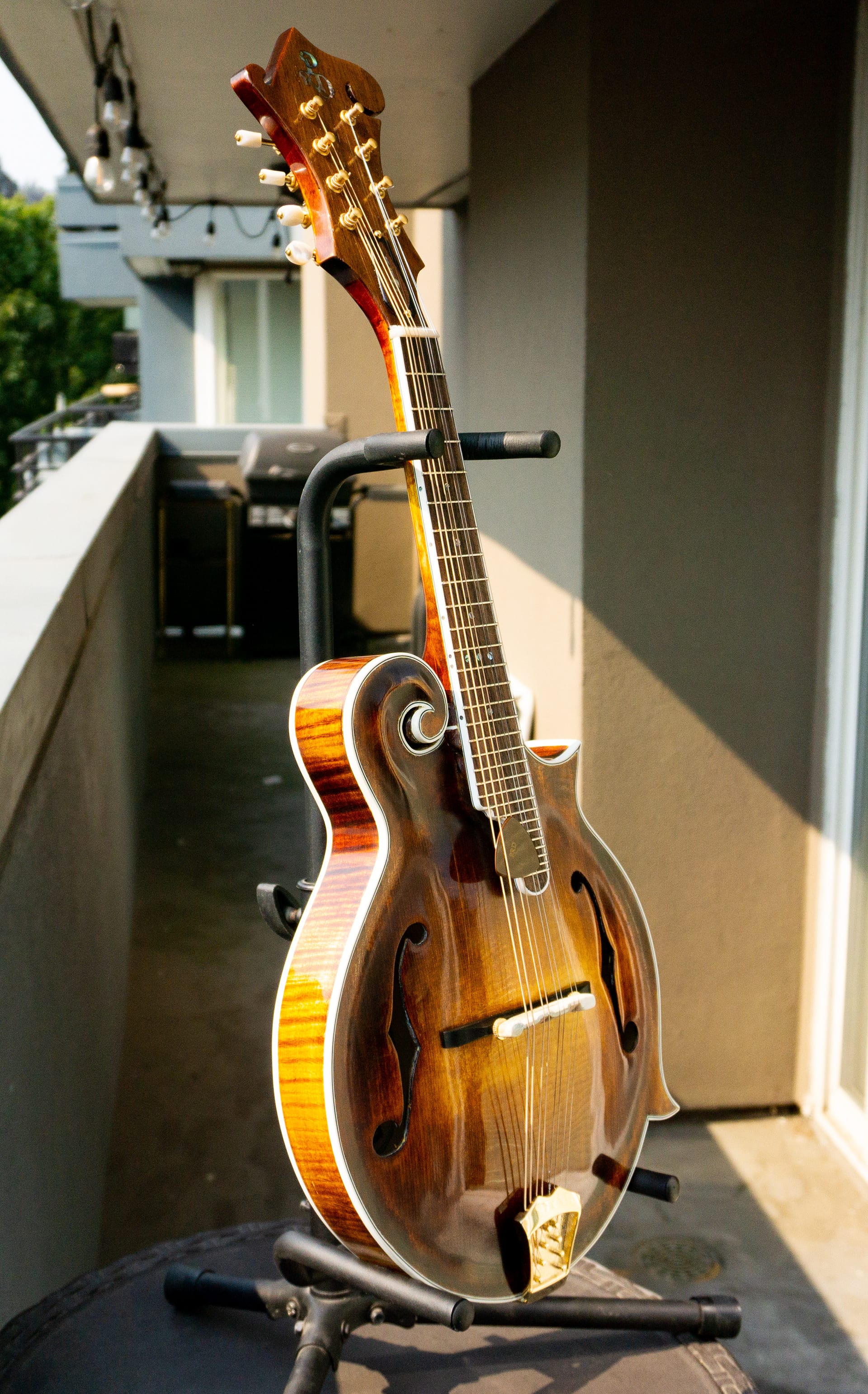The finished mandolin on a stand in low evening sun on the balcony.