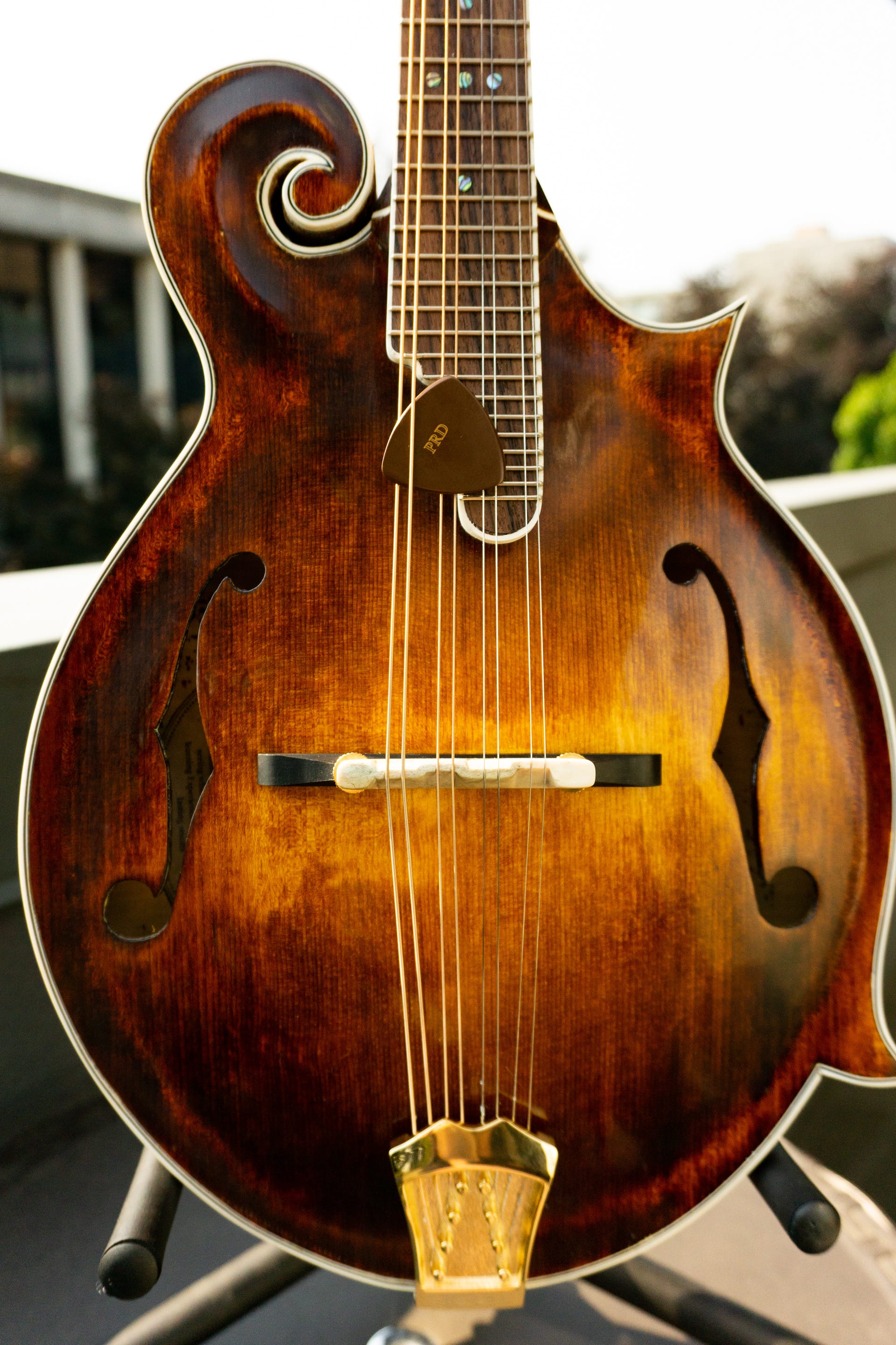 The front closer in: bridge, tailpiece, f-holes and the end of the fretboard.