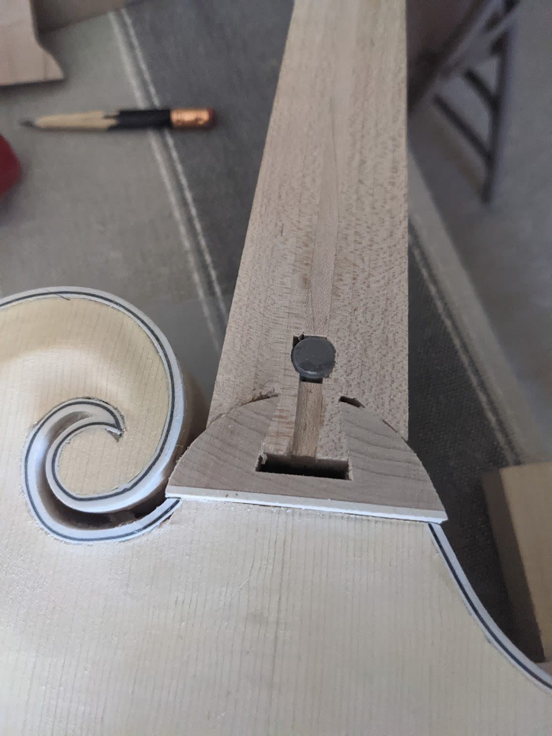The neck joint and scroll with the fretboard extension area levelled and the truss rod cover fitted.