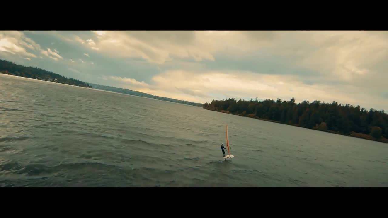 A windsurfer far out on open water, a tree lined shore beyond.