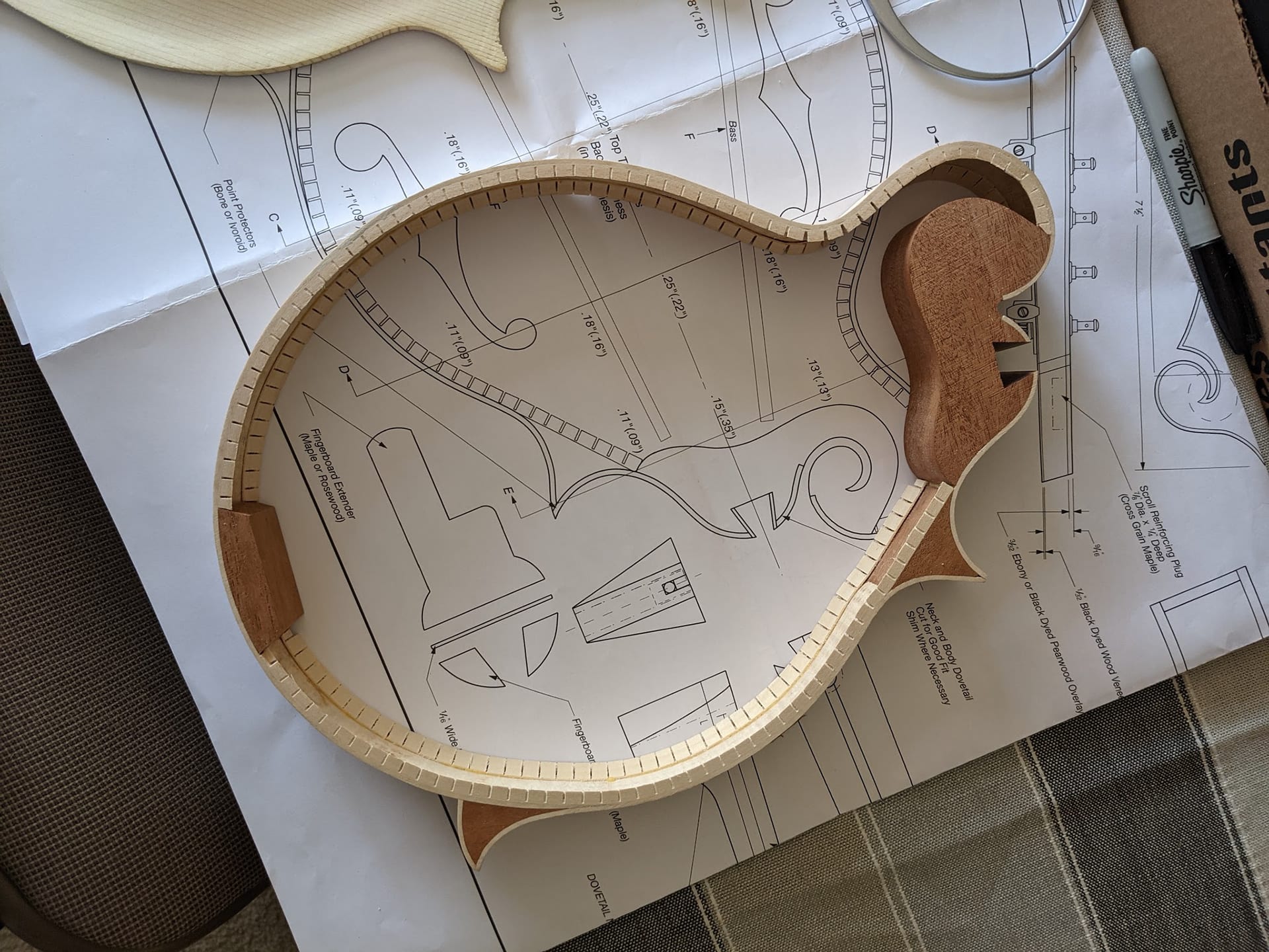 The rim set upside down on the blueprints, kerfing glued all the way around the inside edge and sanded flush.